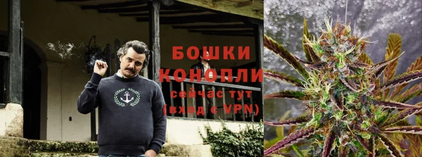 марки nbome Белокуриха