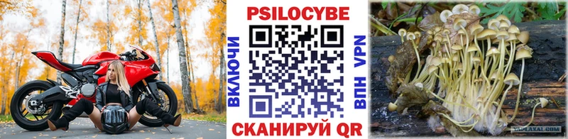 гидра ссылки  Давлеканово  Галлюциногенные грибы прущие грибы 